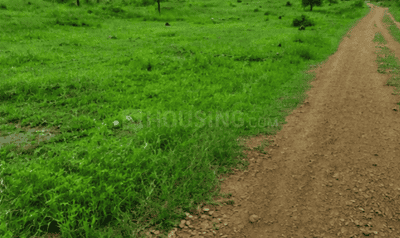 Sundarpada Plot View 3