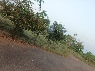 Image of 350 Sq.ft Residential Plot / Land for sale in Bhogapuram, Visakhapatnam for Rs. 7000000