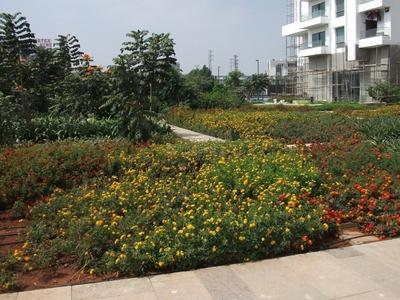 Image of 4095 Sq.ft 4 BHK Apartment / Flat for rent in Jayabheri The Peak, Narsingi, Hyderabad for Rs. 300000