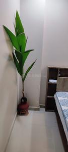Bedroom Image of 1115 Sq.ft 2 BHK Apartment / Flat for sale in Sumukh Bilvam Heights, Pal Gam Surat for Rs. 5100000