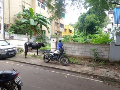 Image of 2800 Sq.ft Residential Plot / Land for sale in Villivakkam, Chennai for Rs. 30800000