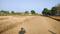 Bhujbal Knowledge City Plot View 2