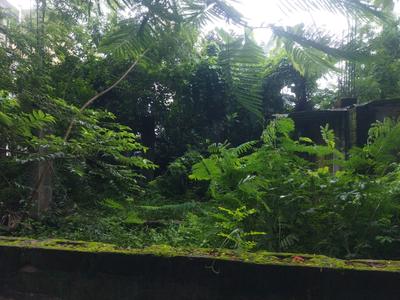 Rajdanga Gardens Plot View 1