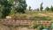 Image of 6200 Sq.ft Residential Plot / Land for sale in Balianta, Bhubaneswar  for Rs. 7536000