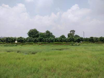 Image of 125 Sq.ft Residential Plot / Land for sale in Mansha Oaks, Sector 98, Faridabad for Rs. 16250000