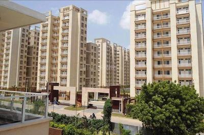 Image of 1100 Sq.ft 2 BHK Apartment / Flat for rent in CHD Avenue 71, Sector 72, Gurgaon for Rs. 37000