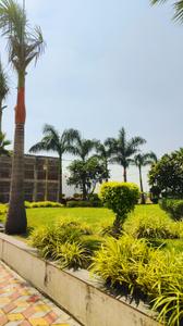 Image of 1500 Sq.ft Residential Plot / Land for sale in Shri Padmavati Park, Magar Kheda, Indore for Rs. 6900000