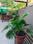 Balcony Image of Only for Girls PG in Jodhpur, Ahmedabad