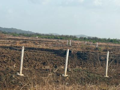 Waredi Plot View 1