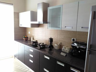 Kitchen Image of 2660 Sq.ft 3 BHK Apartment / Flat for sale in Bestech Park View Grand Spa, Sector 81 Gurgaon for Rs. 30000000