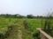 Sonargaon 2 Main Image 1