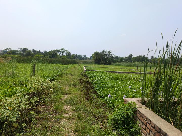 Sonargaon 2 Main Image 1