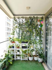 Balcony Image of 900 Sq.ft 2 BHK Apartment / Flat for sale in Birla Niyaara Phase 1, Worli Mumbai for Rs. 76500000