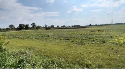 Image of 1200 Sq.ft Residential Plot / Land for sale in Bihta, Patna for Rs. 1558000