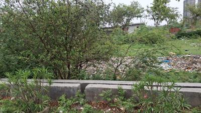 Residential Authority Plots Plot View 2