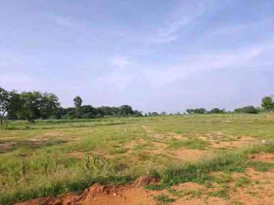 Image of 200 Sq.ft Residential Plot / Land for sale in Alair, Yadadri Bhuvanagiri for Rs. 1900009