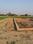 Babatpur Plot View 2