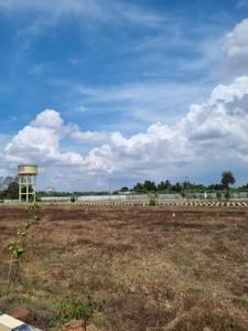 Residential Plot