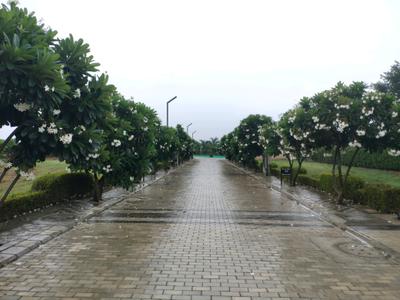 Image of 963 Sq.ft Residential Plot / Land for sale in Mansha Oaks, Sector 98, Faridabad for Rs. 13900000