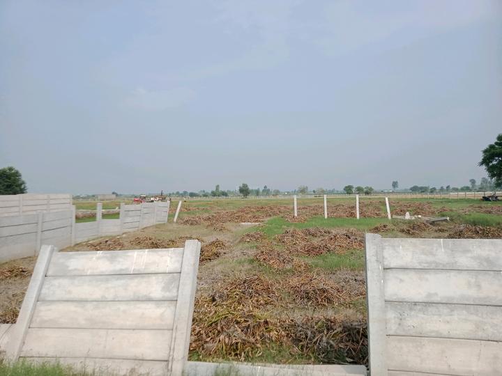 Royal city Main Image 1