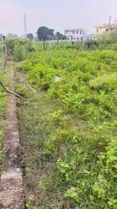 Image of 2470 Sq.ft Residential Plot / Land for sale in Sajanpur Peeli, Haridwar for Rs. 5300000