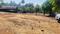 Koproli Plot View 2
