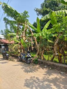 Image of 3484 Sq.ft Residential Plot / Land for sale in Kangarappady, Kochi for Rs. 6400000