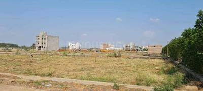 Amlihdih Plot View 2