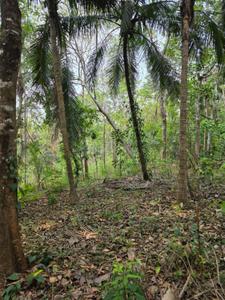 Image of 4655 Sq.ft Residential Plot / Land for sale in Minalur, Thrissur for Rs. 125000