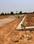 SEZ MEADOWS FARMS Plot View 2