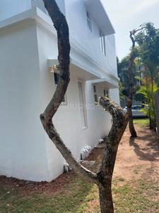 Image of 2275 Sq.ft 3 BHK Villa for sale in Asten Veneziano, Koonammavu, Kochi for Rs. 19000000