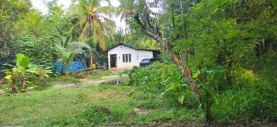 Image of 1500 Sq.ft 1 RK Independent House for sale in Aryad South, Alappuzha for Rs. 4200000