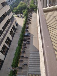 Image of 450 Sq.ft 1 BHK Apartment / Flat for rent in ROF Amaltas, Sector 92, Gurgaon for Rs. 11900