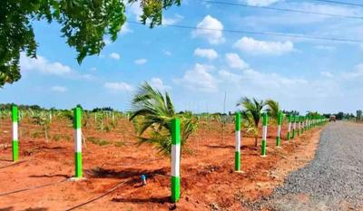 Image of 9600 Sq.ft Residential Plot / Land for sale in Chengalpattu, Chennai for Rs. 2400000