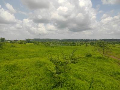 Image of 46995 Sq.ft Residential Plot / Land for sale in Murbad, Thane for Rs. 6665000