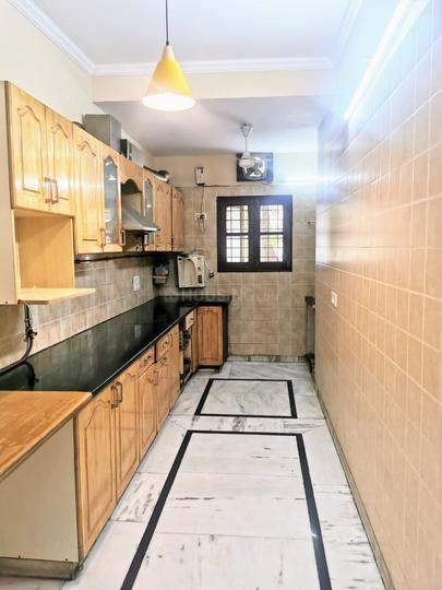 Sector D, Masoodpur Property Details Video 1