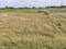Dasna Plot View 1