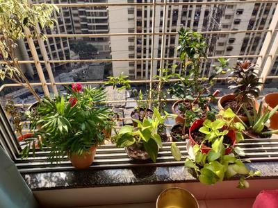 Balcony Image of 415 Sq.ft 1 BHK Apartment / Flat for sale in Veena Serenity, Chembur Mumbai for Rs. 10494400