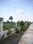 Cantt Plot View 2