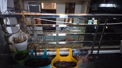 Balcony Image of 550 Sq.ft 2 BHK Apartment / Flat for rent in Dwarka Mor New Delhi for Rs. 23000