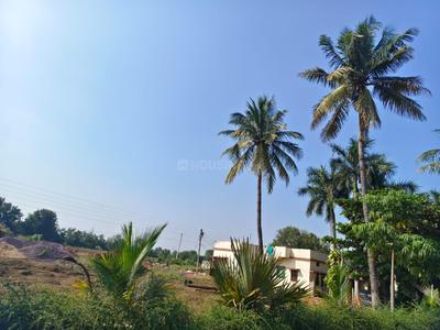 Image of 6000 Sq.ft Residential Plot / Land for sale in Paridhi Nidhivan Farm, Tatibandh, Raipur for Rs. 2850000