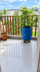 Balcony Image of 1240 Sq.ft 2 BHK Apartment / Flat for rent in Ayodhya Heights, Sangam Nagar Indore for Rs. 25000