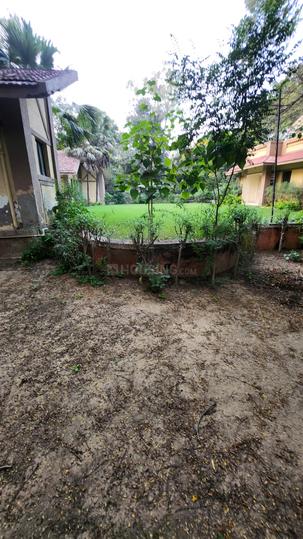 Surmiya 1 Main Image 1