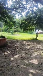 Image of 8000 Sq.ft 5 BHK Independent House for sale in Rajarhat, Kolkata for Rs. 45000000