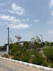 Boraj Plot View 3