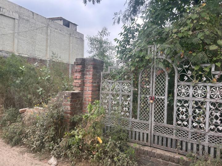 Tikawali Main Image 1