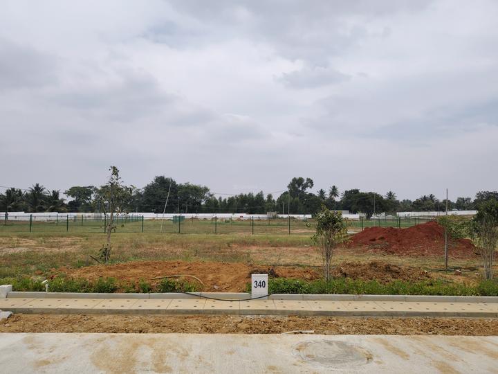 Ruby Sizzle Heritage Main Image 1