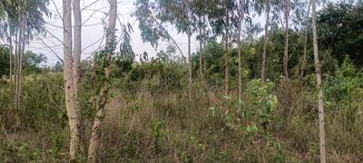 Image of 35000 Sq.ft Residential Plot / Land for sale in Chikkanahalli Village, Bengaluru for Rs. 52000000