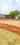 Ramagya City  Main Image 1