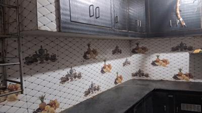 Kitchen Image of 850 Sq.ft 2 BHK Builder Floor for rent in Nagla Kachhan Agra for Rs. 6500